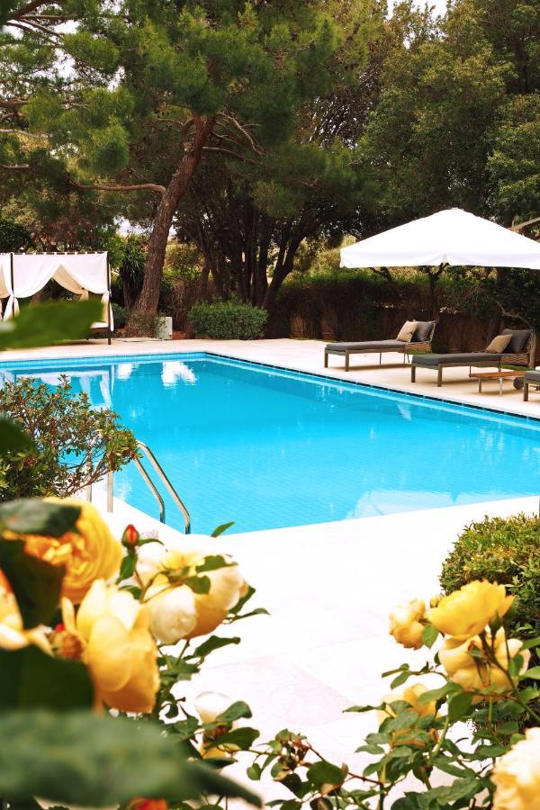 Villa Oasis With Large Pool Athenian Riviera Lagonissi Lagonisi Exterior photo