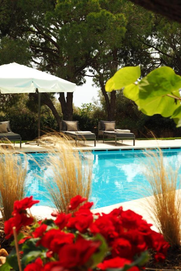 Villa Oasis With Large Pool Athenian Riviera Lagonissi Lagonisi Exterior photo