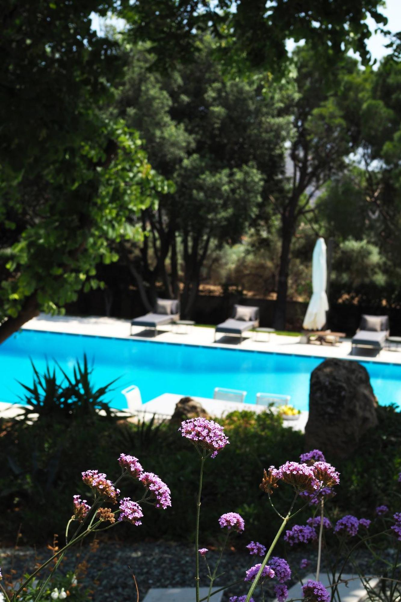 Villa Oasis With Large Pool Athenian Riviera Lagonissi Lagonisi Exterior photo